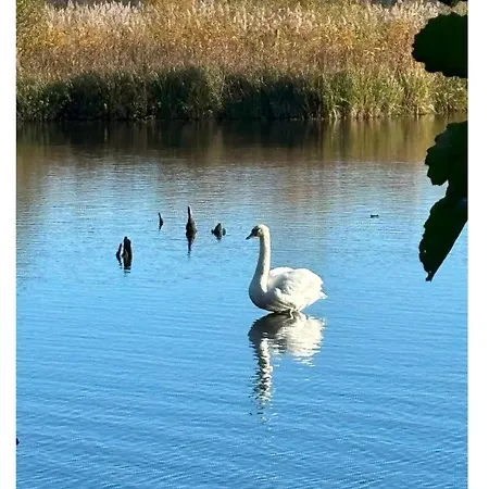 Appartamento Piec Morz Z Basenem Sianozety