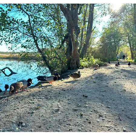 Piec Morz Z Basenem Sianozety