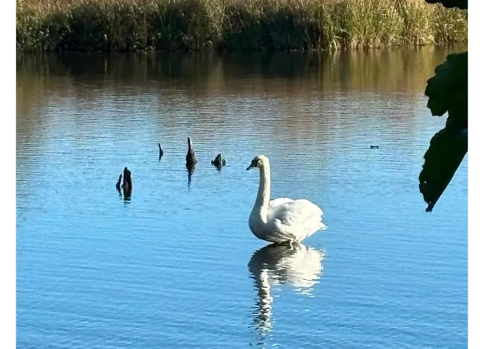 Apartamento Pięć Mórz Z Basenem Poland