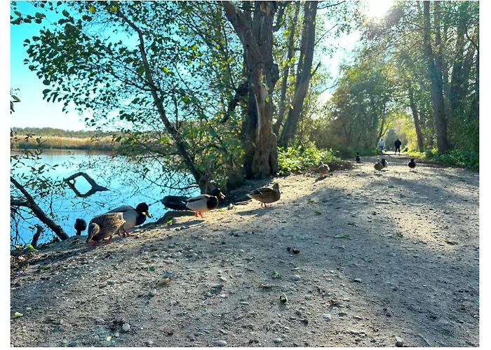 Pięć Mórz Z Basenem Poland